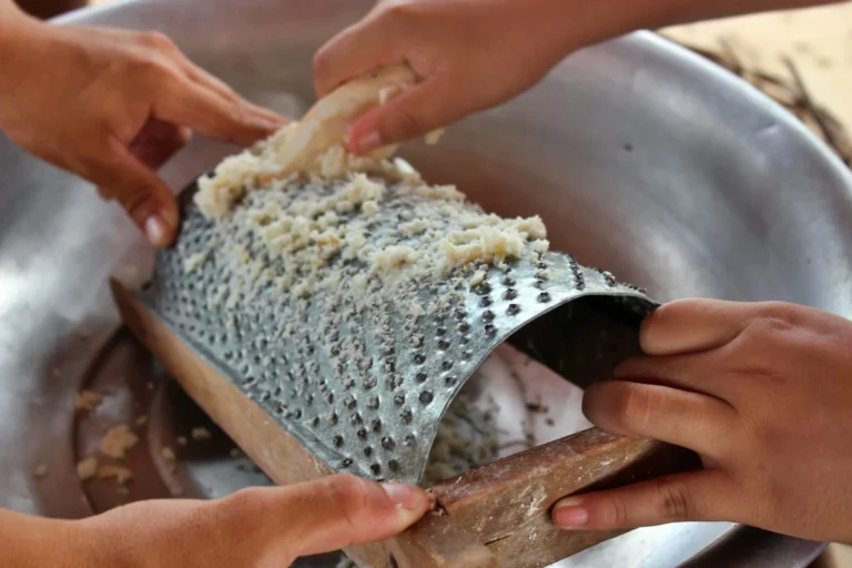 Cultura alimentar